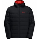 Чоловічий пуховик Jack Wolfskin ATHER DOWN HOODY M 1207671_6350