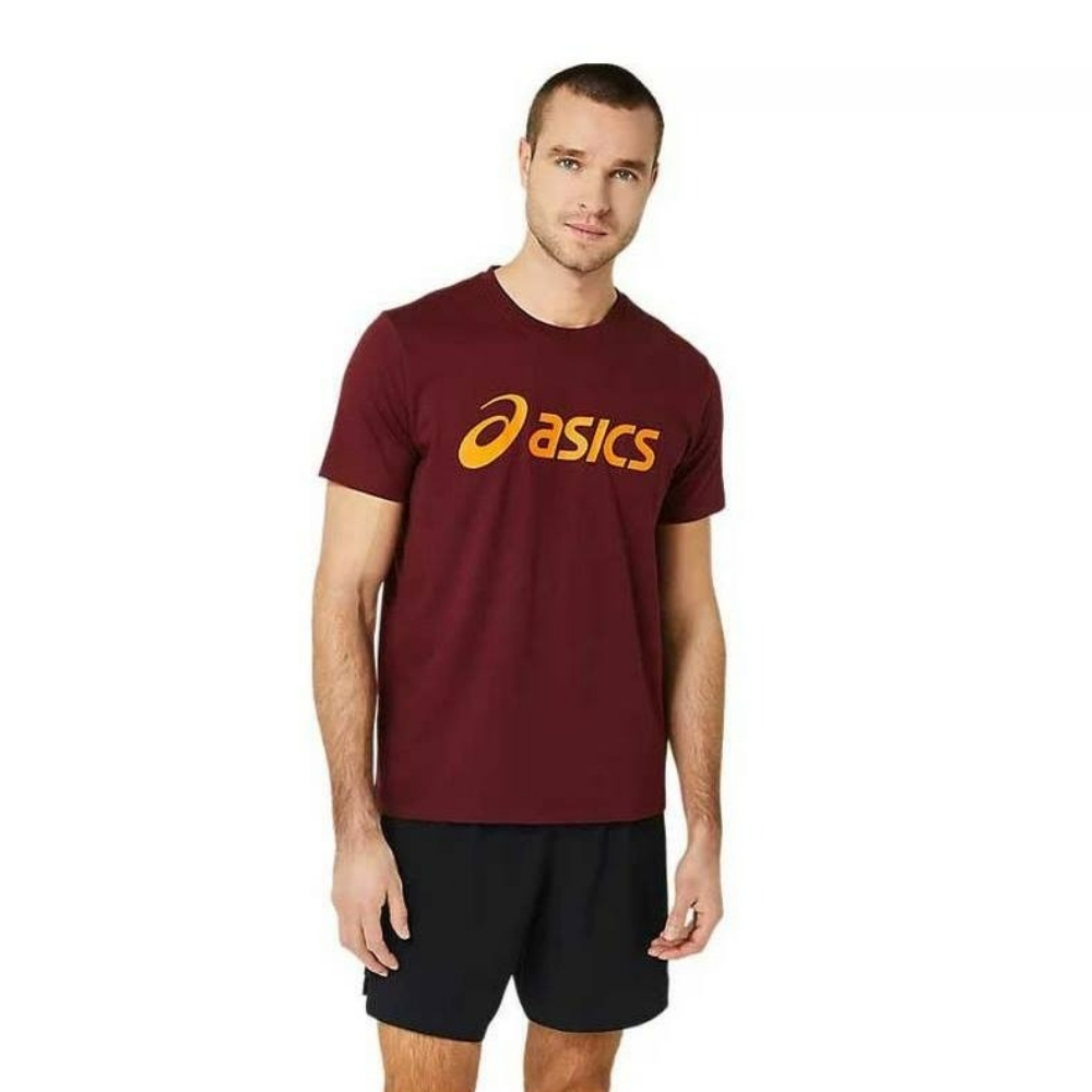 Чоловіча футболка Asics BIG LOGO TEE 2031A978-604