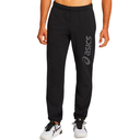 Мужские спортивные брюки ASICS BIG LOGO SWEAT PANT 2031A977-004