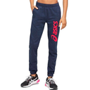 Женские спортивные штаны ASICS BIG LOGO SWEAT PANT 2032A982-404