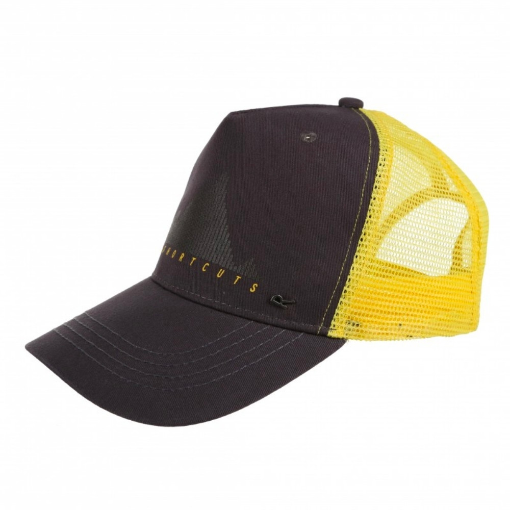 Кепка Regatta TassianTruckerCap RMC103-Z6E