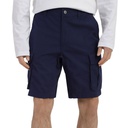 Чоловічі шорти The North Face M ANTICLINE CARGO NF0A55B68K21