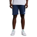 Чоловічі шорти The North Face STANDARD SHORT NF0A3S4EHDC1