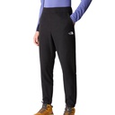 Чоловічі штани The North Face M 100 GLACIER PANT NF0A8561JK31