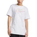 Чоловіча футболка Nike M NSW TEE CLUB+ BRD PK HBR DZ2871-100