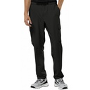 Чоловічі штани Jack Wolfskin WANDERMOOD PANTS M 1508402_6502