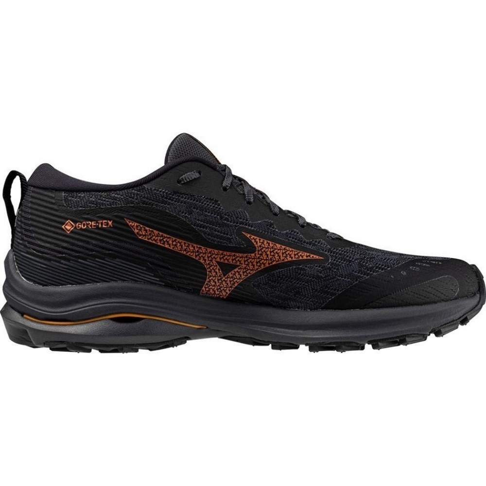 Чоловічі бігові кросівки Mizuno WAVE RIDER GTX J1GC2279-51