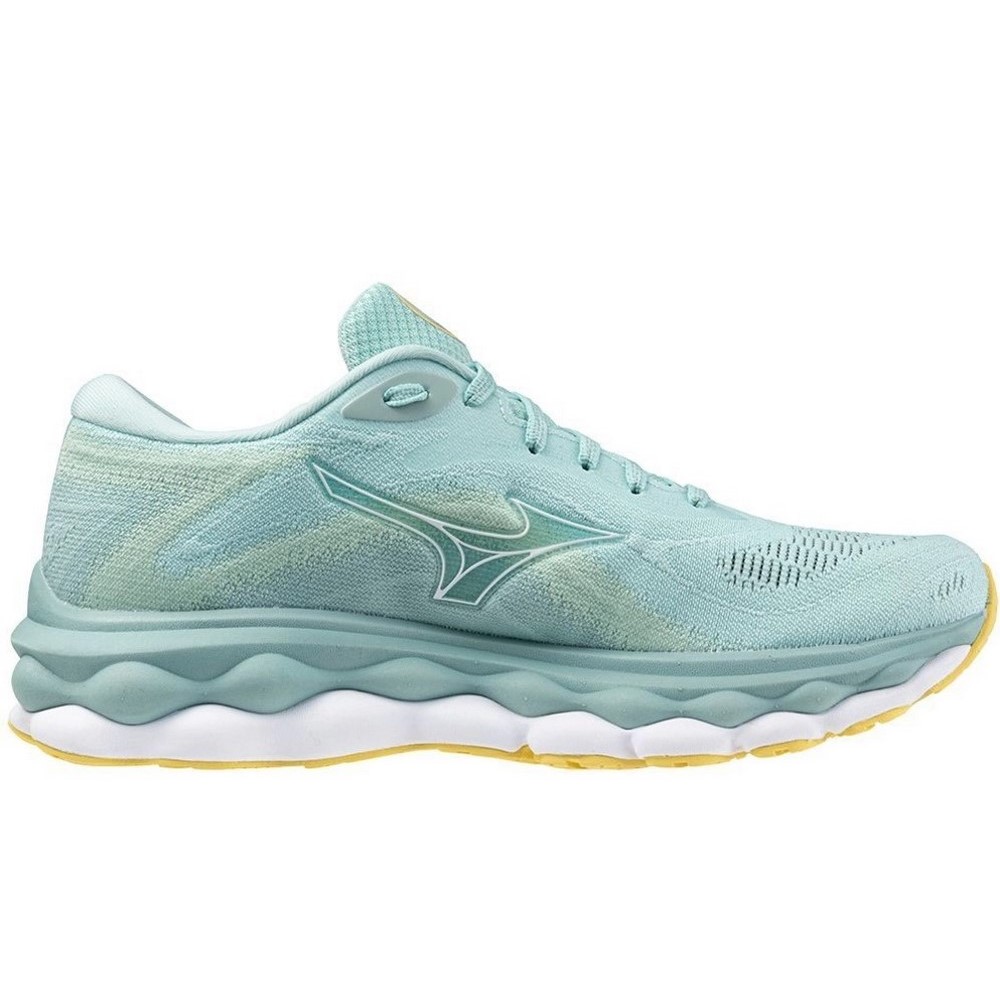 Жіночі бігові кросівки Mizuno WAVE SKY 7 J1GD2302-73