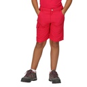 Дитячі шорти Regatta Sorcer Shorts II RKJ106-D4D