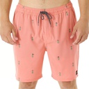 Чоловічі аква шорти Rip Curl HULA BREACH VOLLEY CBOQP9-165