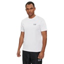 Чоловіча футболка ARMANI T-SHIRT 8NPT18-PJ02Z-1100
