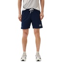 Чоловічі спортивні шорти ARMANI SHORTS 3DPS08-PNBXZ-1554