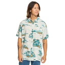 Чоловіча теніска Quiksilver LONGMANHILLSS WVTP EQYWT04575-WDW6