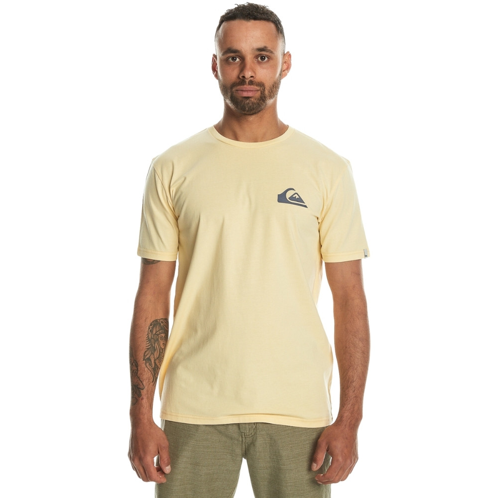 Чоловіча футболка Quiksilver MWMINILOGO TEES EQYZT07657-YED0