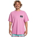 Чоловіча футболка Quiksilver SPINCYCLESS TEES EQYZT07653-PHP0