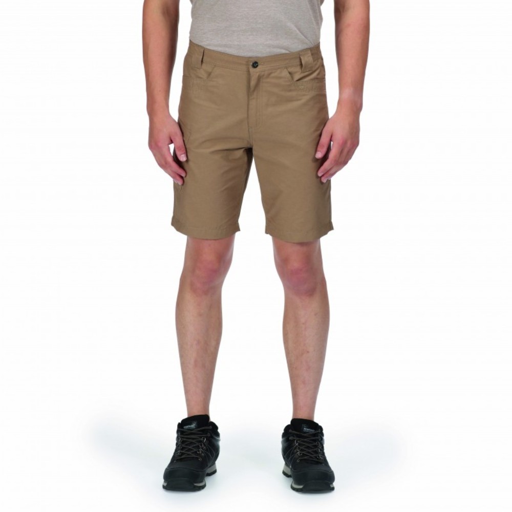 Чоловічі шорти Regatta Delgado Short RMJ228-3HE