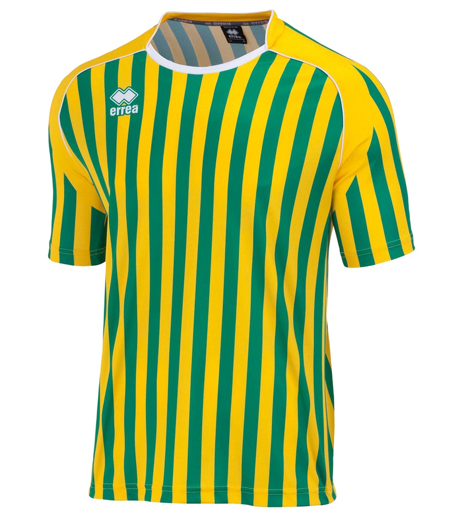 Футболка мужская Errea Swindon Maglia MC D150-000073