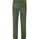 Чоловічі штани Salewa M DOLOMIA PNT 27933_5280