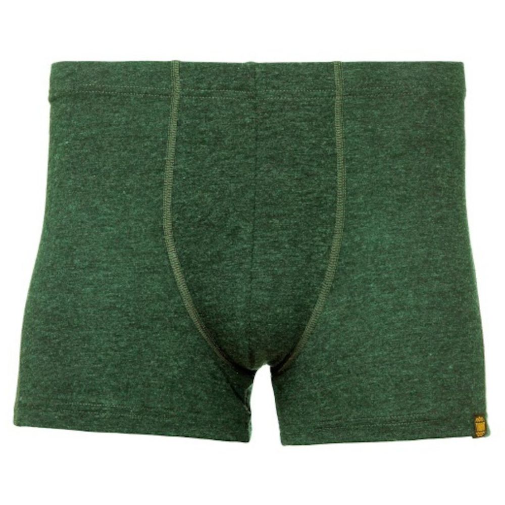 Чоловічі труси Turbat Retezat Boxer Mns TMT0045-GRN