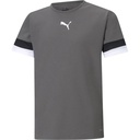 Дитяча футболка Puma teamRISE Jersey Jr 704938-13