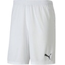 Чоловічі шорти Puma teamGOAL 23 knit Shorts 704262-04