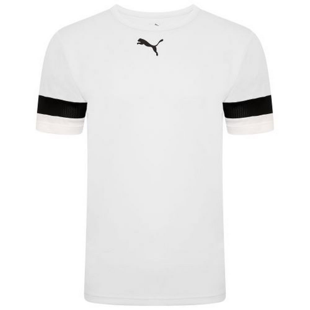 Чоловіча футболка Puma teamRISE Jersey 704932-04