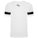 Чоловіча футболка Puma teamRISE Jersey 704932-04