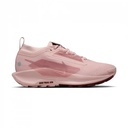 Жіночі кросівки Nike W PEGASUS TRAIL 5 GTX FQ0912-601