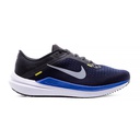 Чоловічі кросівки Nike AIR WINFLO 10 DV4022-005