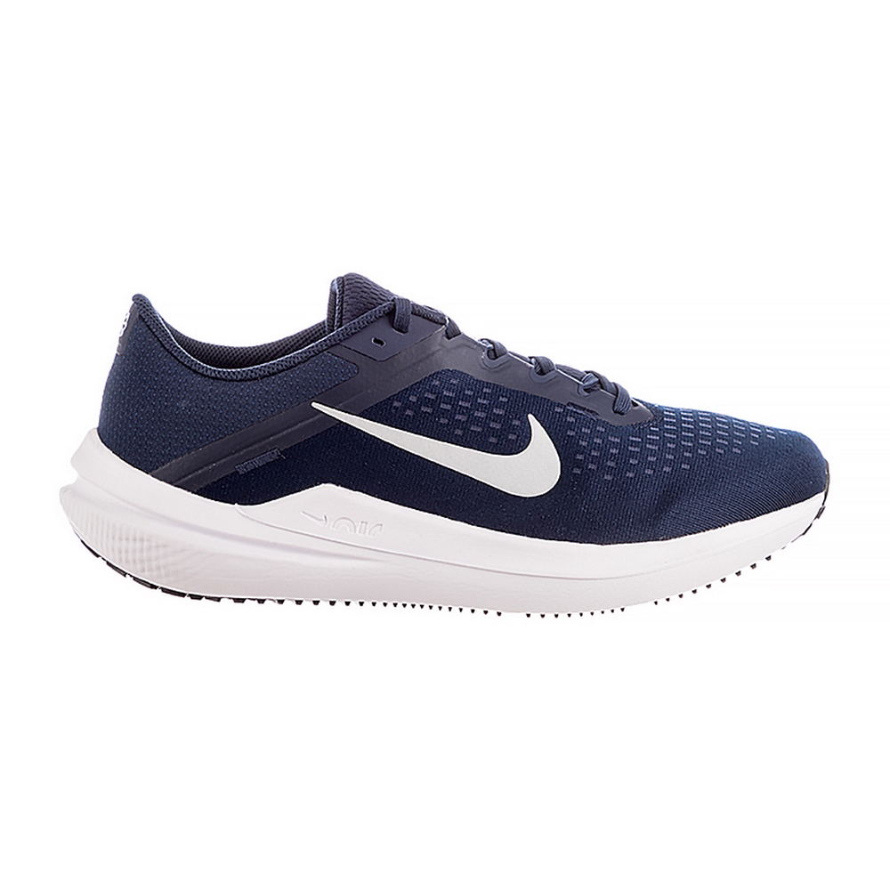 Чоловічі кросівки Nike AIR WINFLO 10 DV4022-400