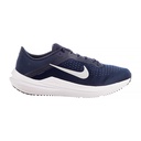 Чоловічі кросівки Nike AIR WINFLO 10 DV4022-400
