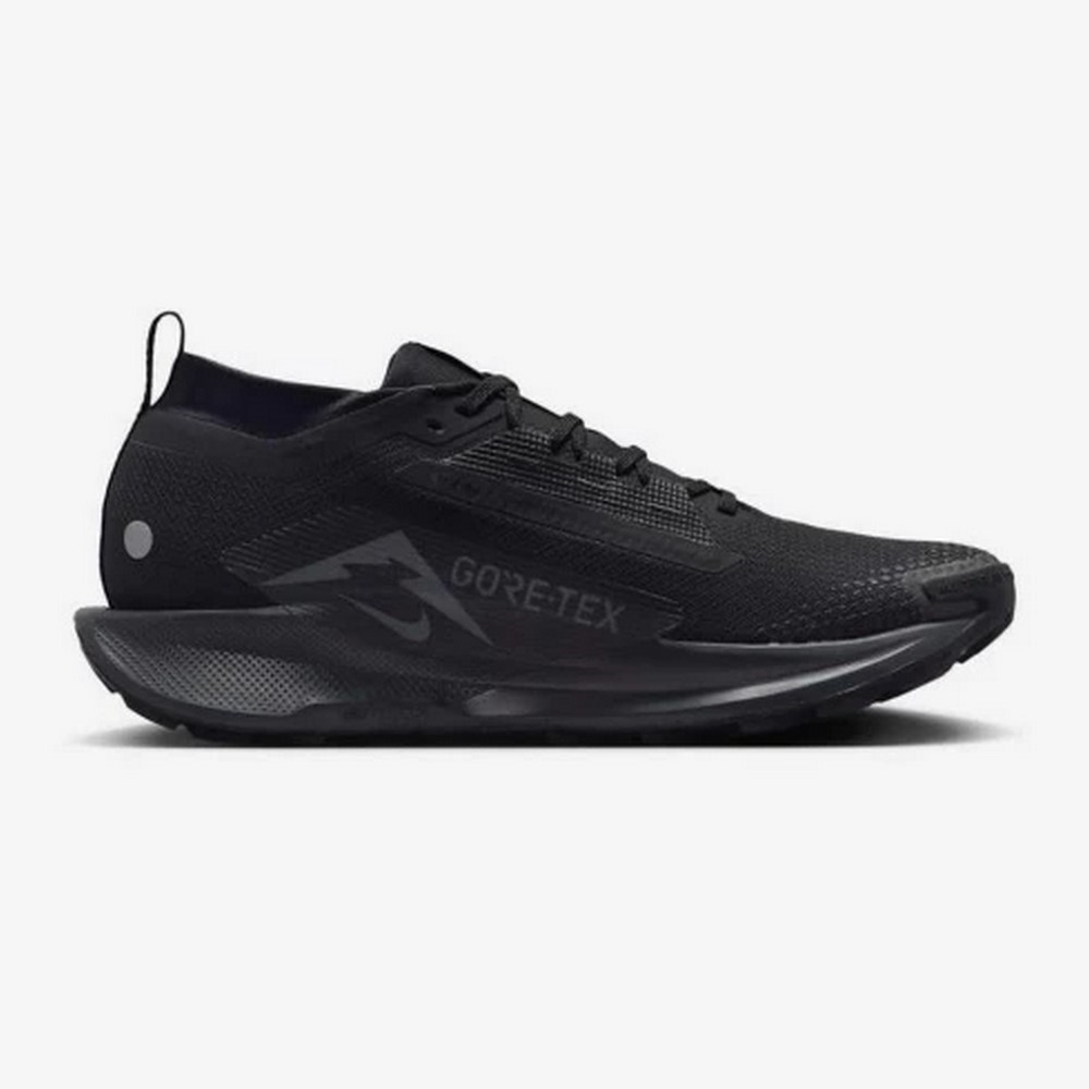 Чоловічі кросівки Nike PEGASUS TRAIL 5 GTX FQ0908-002