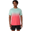 Чоловіча спортивна футболка Asics SEAMLESS SHORT SLEEVE TOP 2011C398-700