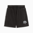 Жіночі шорти Puma CLASS 5" Washed Shorts 685035-01