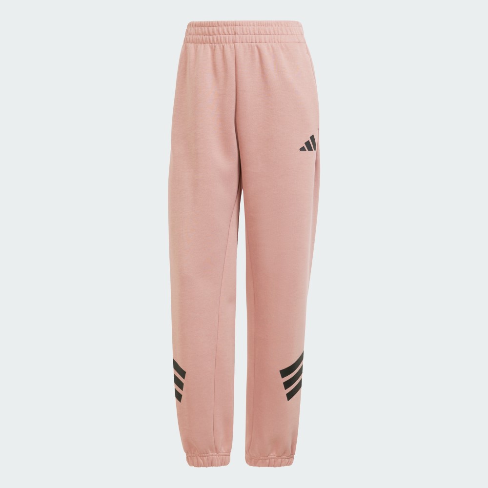 Жіночі спортивні штани Adidas Future Icons 3-Stripes Sportswear JE0160