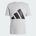 Чоловіча футболка Adidas Essentials Big Logo Sportswear JE8948