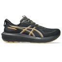 Чоловічі бігові кросівки Asics GT-1000 14 GTX 1011C078-001