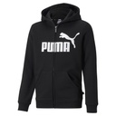 Детская толстовка PUMA ESS BIG LOGO FZ 58696801