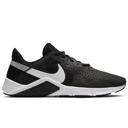 Мужские кроссовки для тренировки NIKE LEGEND ESSENTIAL 2 CQ9356-001