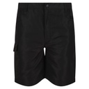 Шорти Regatta Sorcer Shorts II RKJ106-800
