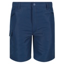 Шорты Regatta Sorcer Shorts II RKJ106-ZV7