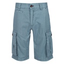 Шорты Regatta Shorebay Short RMJ221-TDE