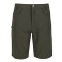 Шорты Regatta Delgado Short RMJ228-41C
