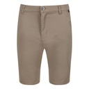 Шорты Regatta Sandros Short RMJ263-3HE