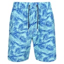 Шорти аква Regatta Hamza Swim Short RMM023-P7P