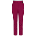 Детские штаны Jack Wolfskin FOURWINDS PANTS K 1609221_2501