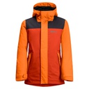 Куртка детская Jack Wolfskin ICY MOUNTAIN JACKET K 1609461_3017