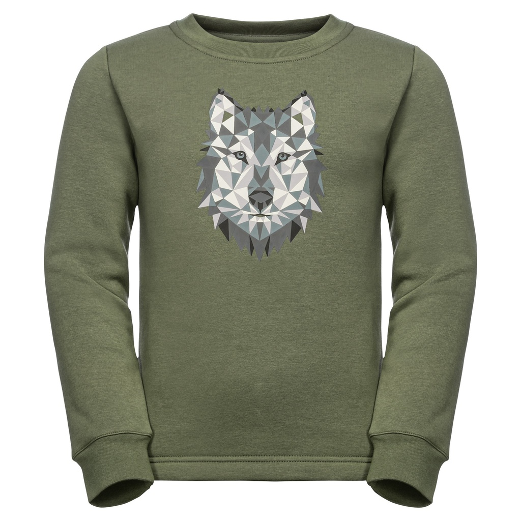 Толстовка Jack Wolfskin ANIMAL PULLOVER K 1609641_5032