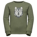 Толстовка Jack Wolfskin ANIMAL PULLOVER K 1609641_5032