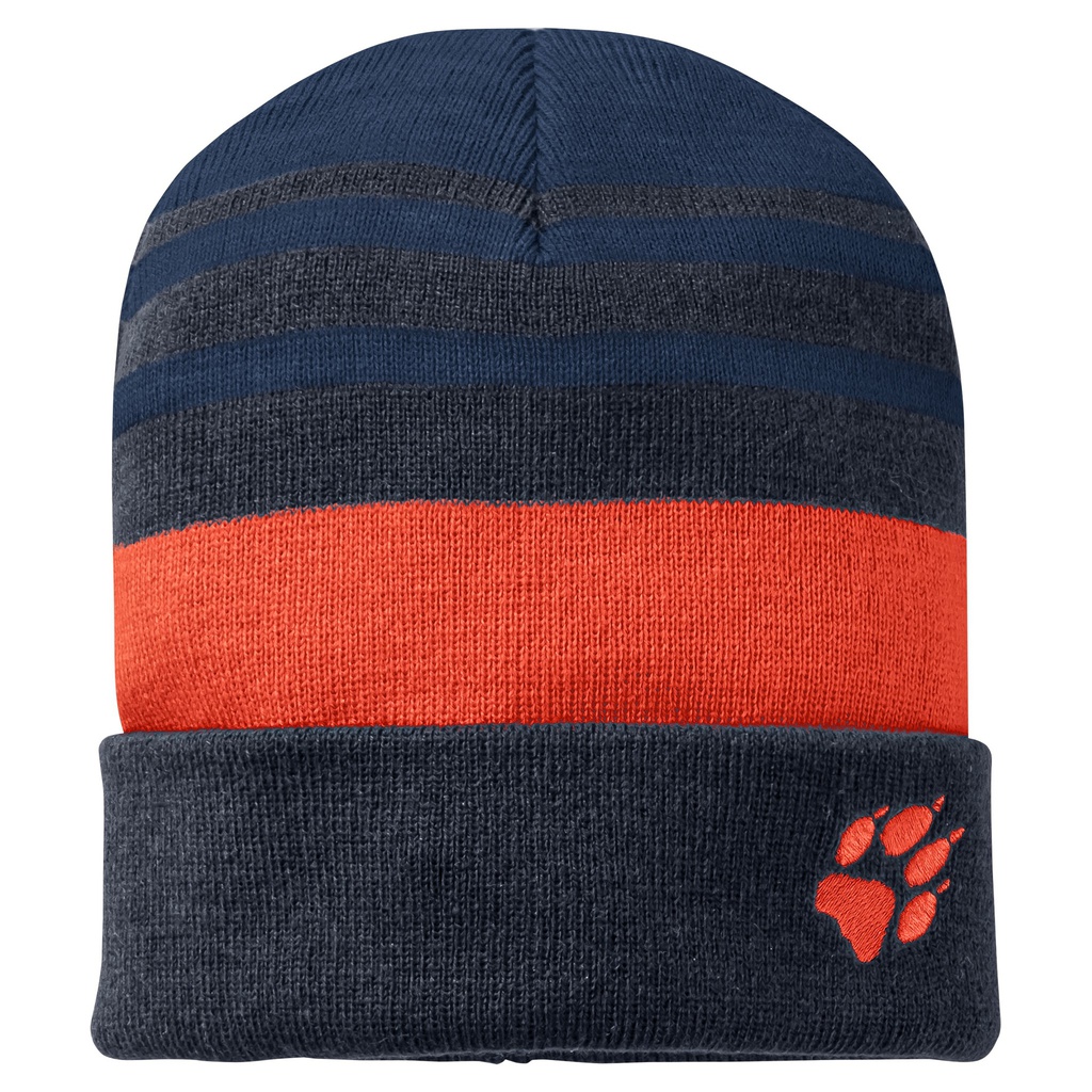 Шапка Jack Wolfskin STRIPY KNIT CAP K 1910401_1080